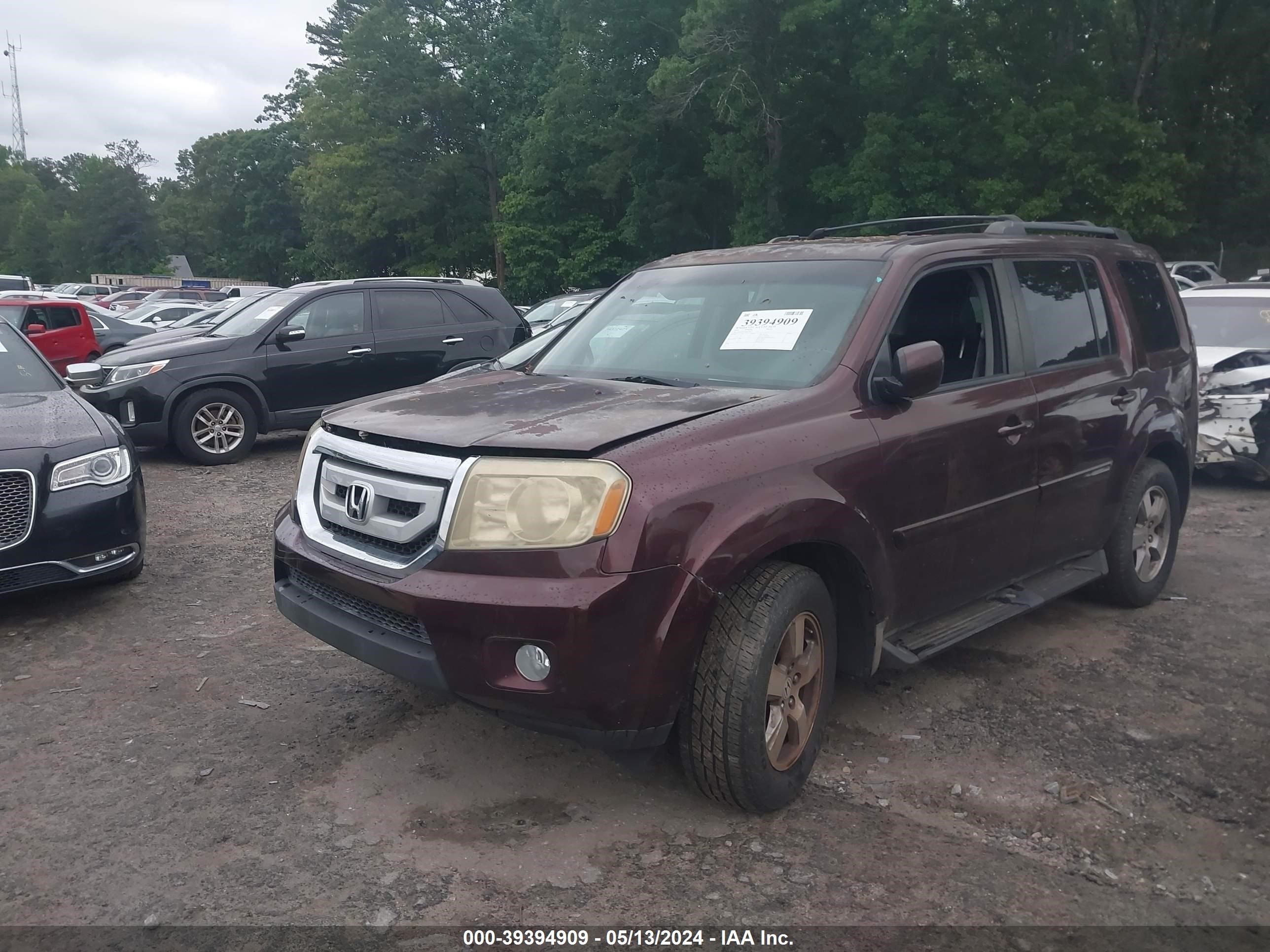 Photo 1 VIN: 5FNYF38539B001967 - HONDA PILOT 