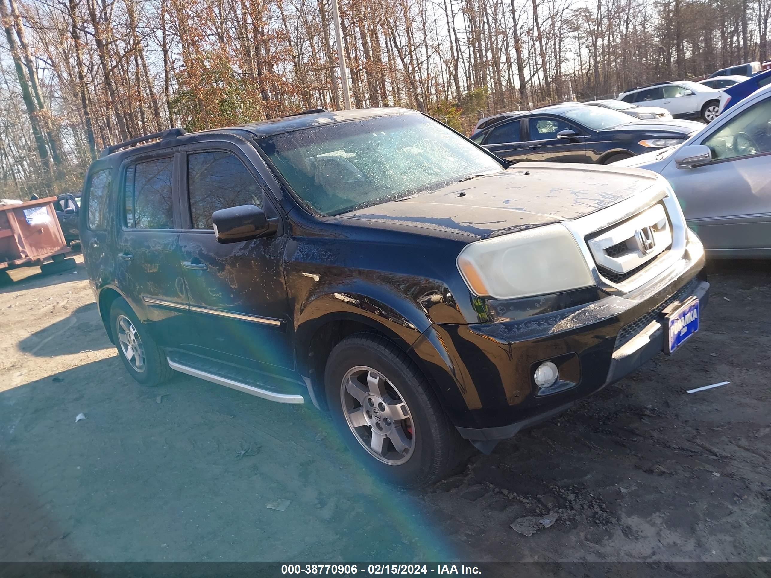 Photo 0 VIN: 5FNYF38959B026002 - HONDA PILOT 