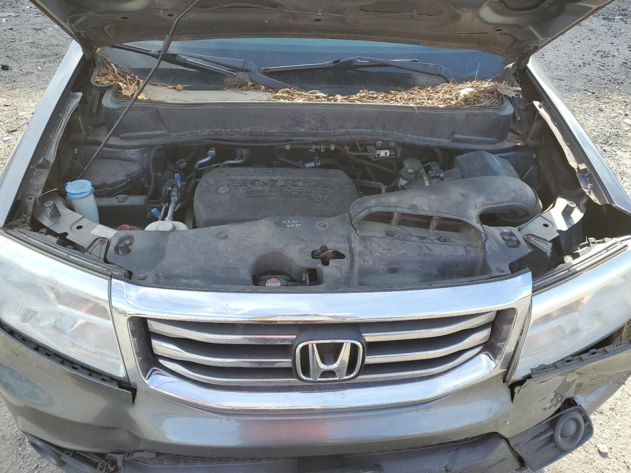 Photo 11 VIN: 5FNYF3H25DB031034 - HONDA PILOT 