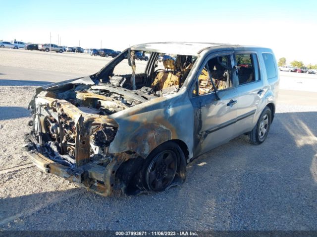 Photo 1 VIN: 5FNYF3H2XBB007678 - HONDA PILOT 