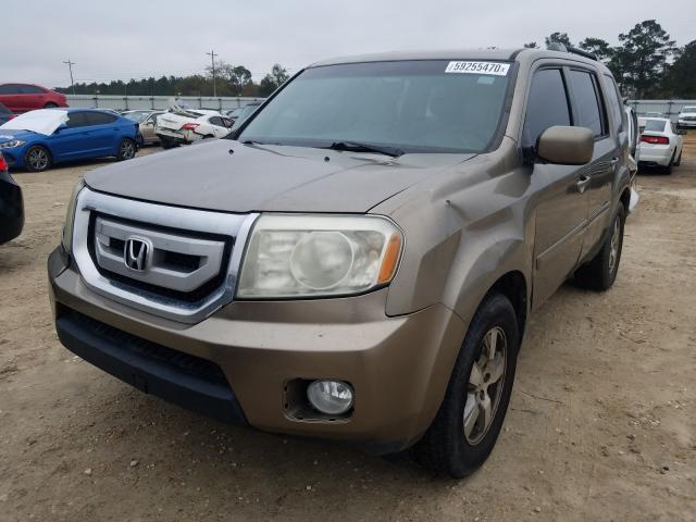 Photo 1 VIN: 5FNYF3H42AB016102 - HONDA PILOT EX 