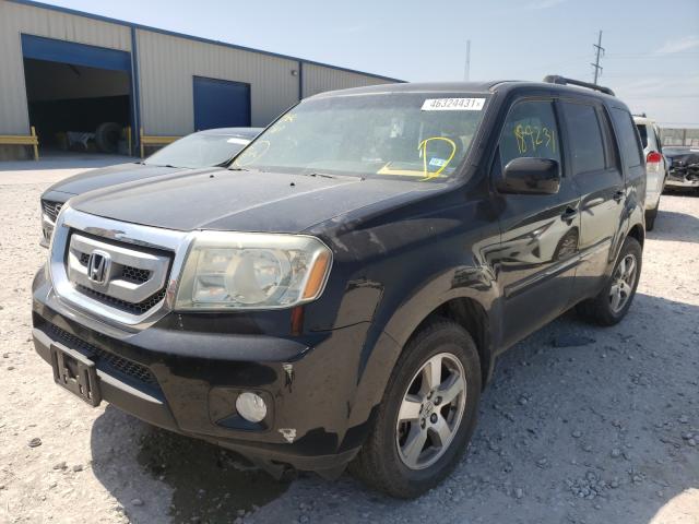 Photo 1 VIN: 5FNYF3H46AB009377 - HONDA PILOT EX 