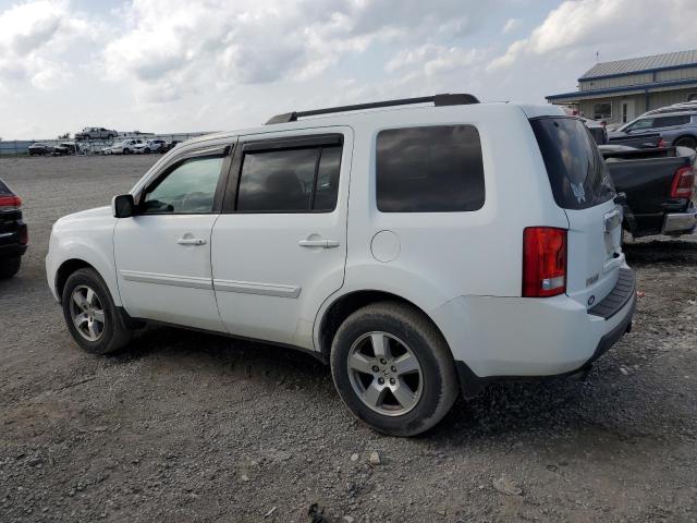 Photo 1 VIN: 5FNYF3H46AB019598 - HONDA PILOT 