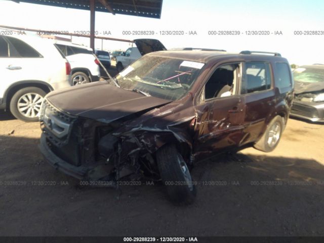 Photo 1 VIN: 5FNYF3H48AB020509 - HONDA PILOT 