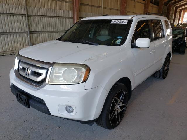 Photo 1 VIN: 5FNYF3H50AB001087 - HONDA PILOT EXL 