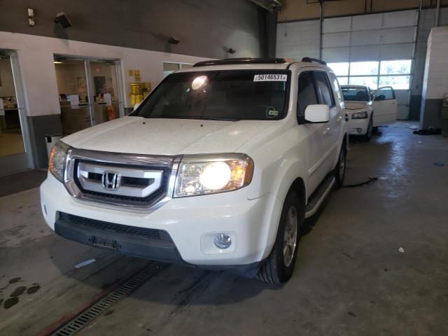 Photo 1 VIN: 5FNYF3H50AB012347 - HONDA PILOT EXL 