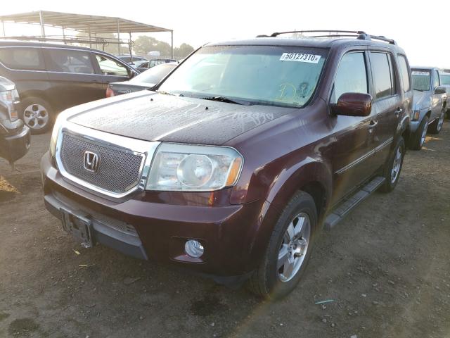 Photo 1 VIN: 5FNYF3H50BB010552 - HONDA PILOT EXL 