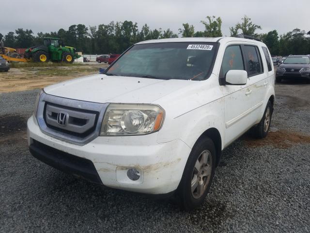 Photo 1 VIN: 5FNYF3H50BB036648 - HONDA PILOT EXL 