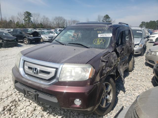 Photo 1 VIN: 5FNYF3H52BB024906 - HONDA PILOT EXL 