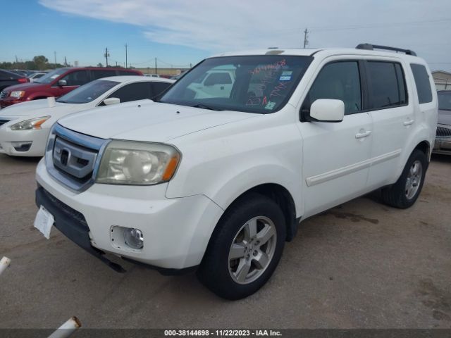 Photo 1 VIN: 5FNYF3H52BB049823 - HONDA PILOT 