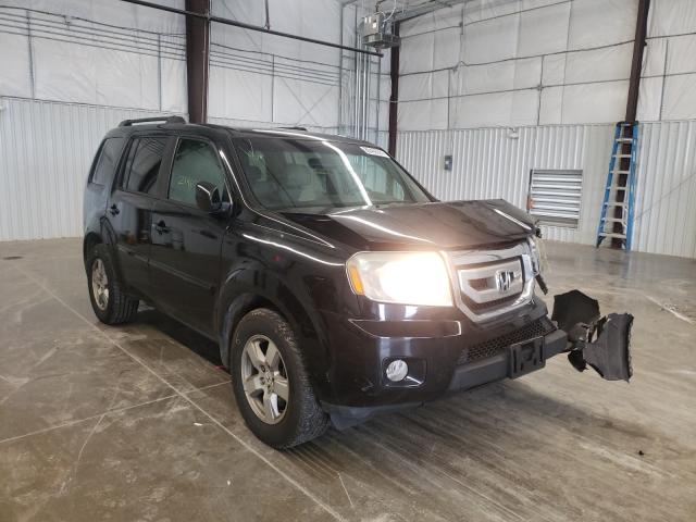 Photo 0 VIN: 5FNYF3H54BB012997 - HONDA PILOT EXL 