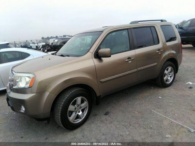 Photo 1 VIN: 5FNYF3H54BB022042 - HONDA PILOT 