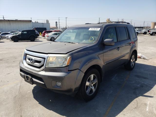 Photo 1 VIN: 5FNYF3H55BB004374 - HONDA PILOT EXL 