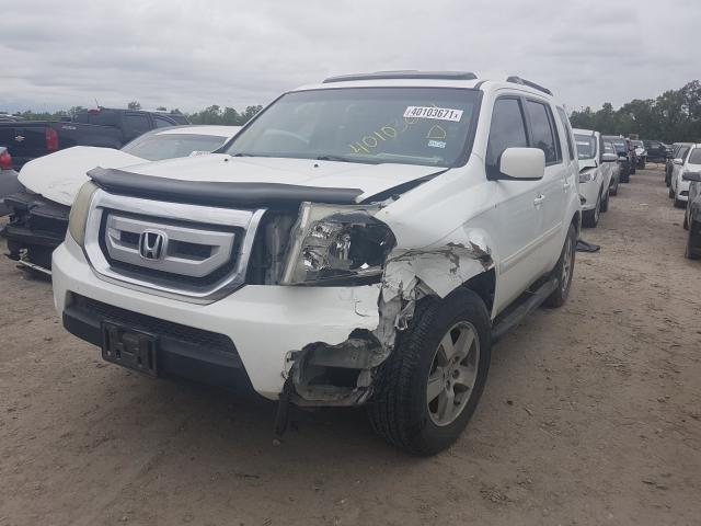 Photo 1 VIN: 5FNYF3H55BB006769 - HONDA PILOT EXL 