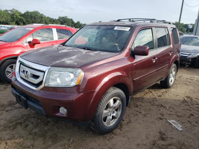 Photo 1 VIN: 5FNYF3H55BB013978 - HONDA PILOT EXL 