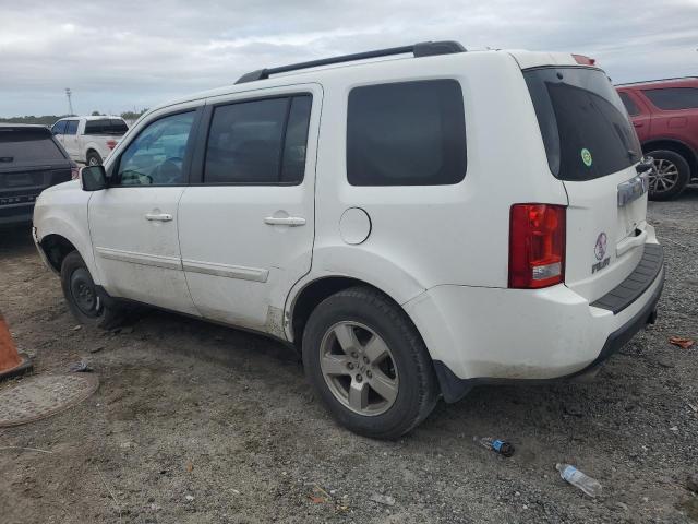 Photo 1 VIN: 5FNYF3H55BB029159 - HONDA PILOT 