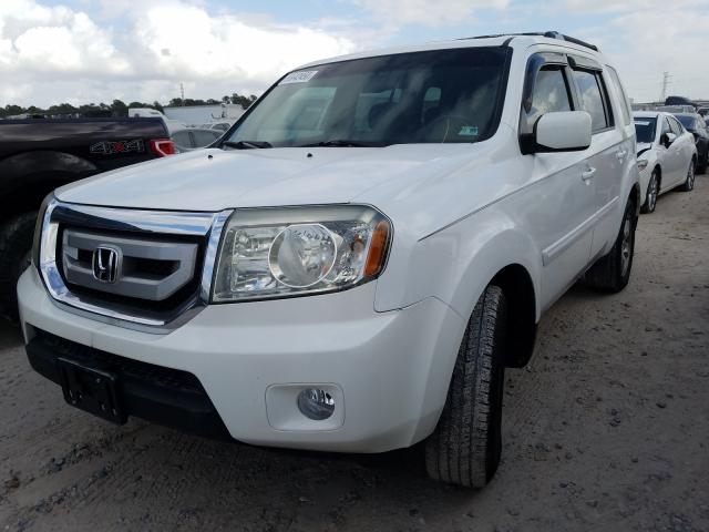 Photo 1 VIN: 5FNYF3H58BB033836 - HONDA PILOT EXL 