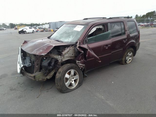 Photo 1 VIN: 5FNYF3H5XBB030212 - HONDA PILOT 