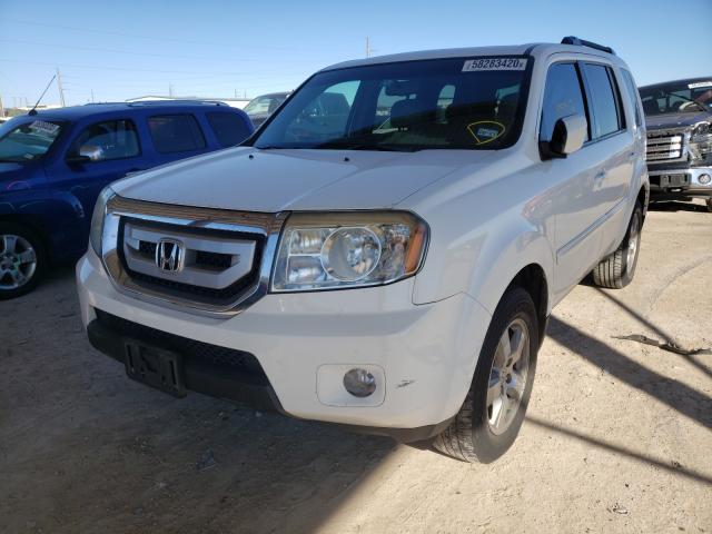 Photo 1 VIN: 5FNYF3H65BB004724 - HONDA PILOT EXL 