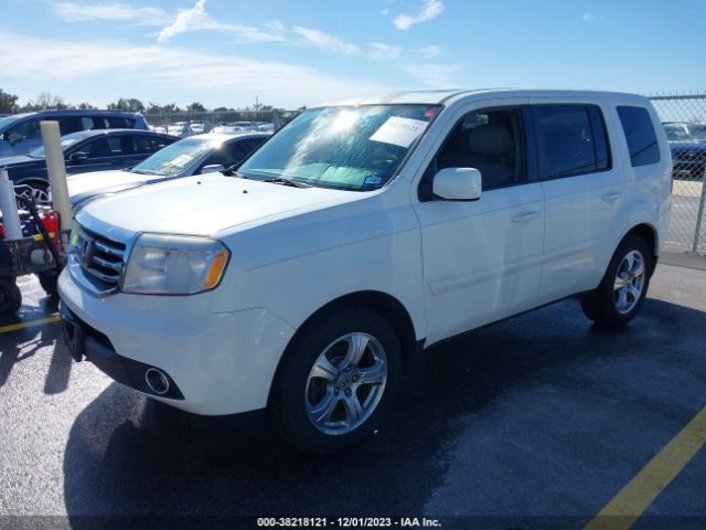 Photo 1 VIN: 5FNYF3H66DB038481 - HONDA PILOT 