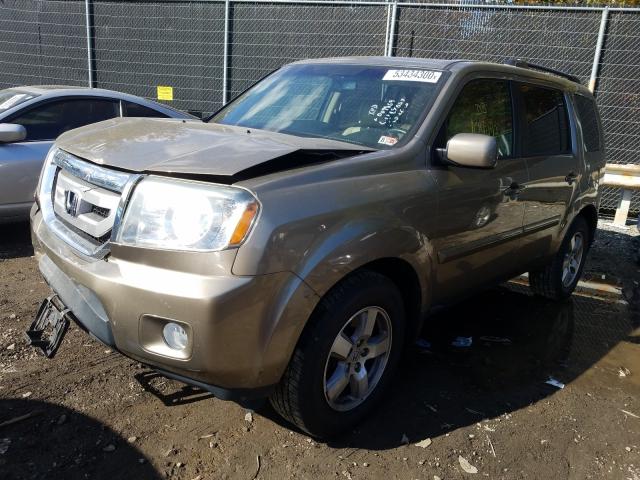 Photo 1 VIN: 5FNYF3H72BB009839 - HONDA PILOT EXLN 