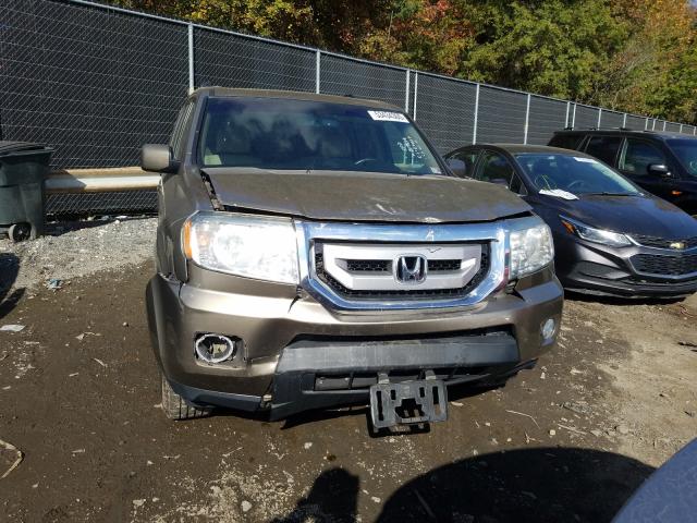 Photo 8 VIN: 5FNYF3H72BB009839 - HONDA PILOT EXLN 