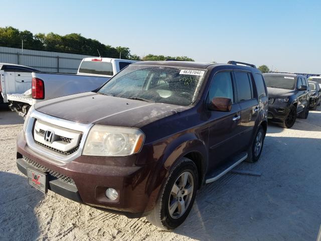 Photo 1 VIN: 5FNYF3H72BB024938 - HONDA PILOT EXLN 