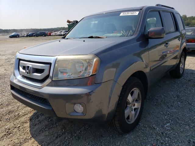 Photo 1 VIN: 5FNYF3H72BB036491 - HONDA PILOT EXLN 