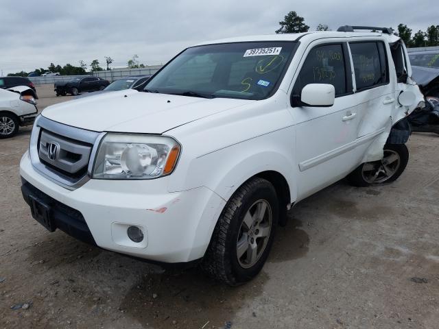 Photo 1 VIN: 5FNYF3H74BB005260 - HONDA PILOT EXLN 