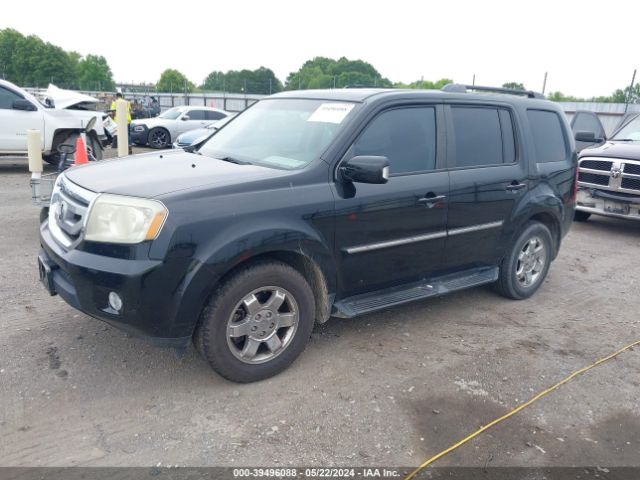 Photo 1 VIN: 5FNYF3H90BB049709 - HONDA PILOT 