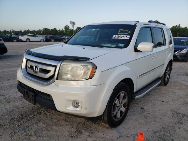 Photo 1 VIN: 5FNYF3H95BB002028 - HONDA PILOT 