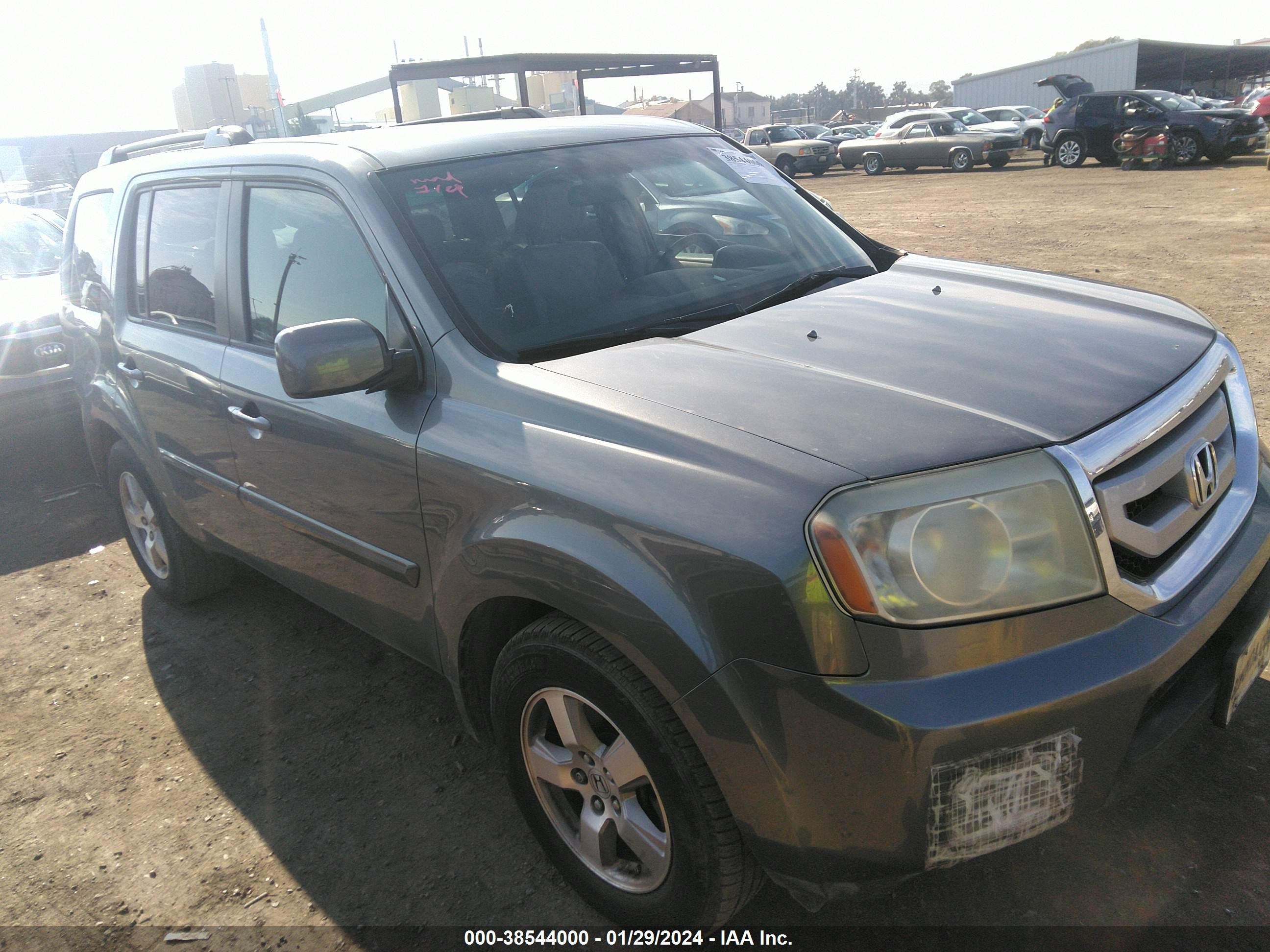 Photo 0 VIN: 5FNYF48409B037466 - HONDA PILOT 