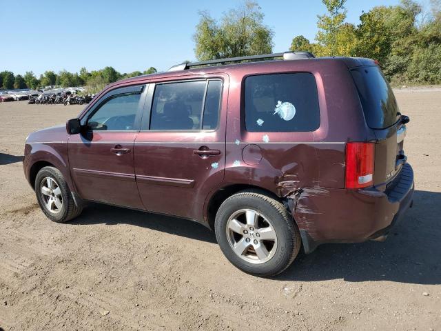 Photo 1 VIN: 5FNYF48459B039469 - HONDA PILOT EX 