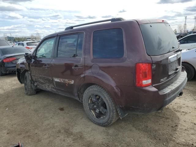 Photo 1 VIN: 5FNYF48459B503280 - HONDA PILOT 