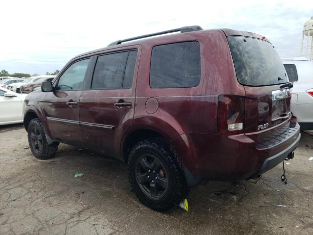 Photo 1 VIN: 5FNYF48519B027604 - HONDA PILOT EXL 