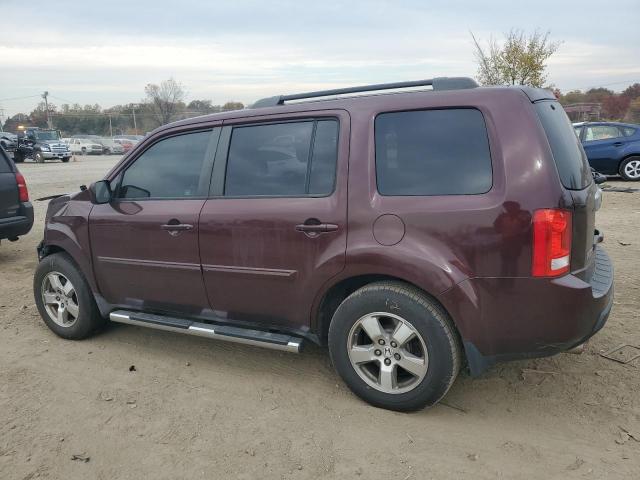 Photo 1 VIN: 5FNYF48519B031121 - HONDA PILOT 