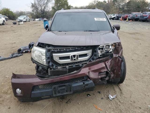 Photo 4 VIN: 5FNYF48519B031121 - HONDA PILOT 