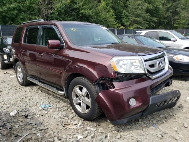 Photo 3 VIN: 5FNYF48569B005498 - HONDA PILOT EXL 