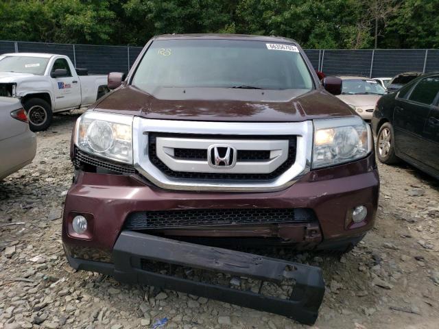 Photo 4 VIN: 5FNYF48569B005498 - HONDA PILOT EXL 