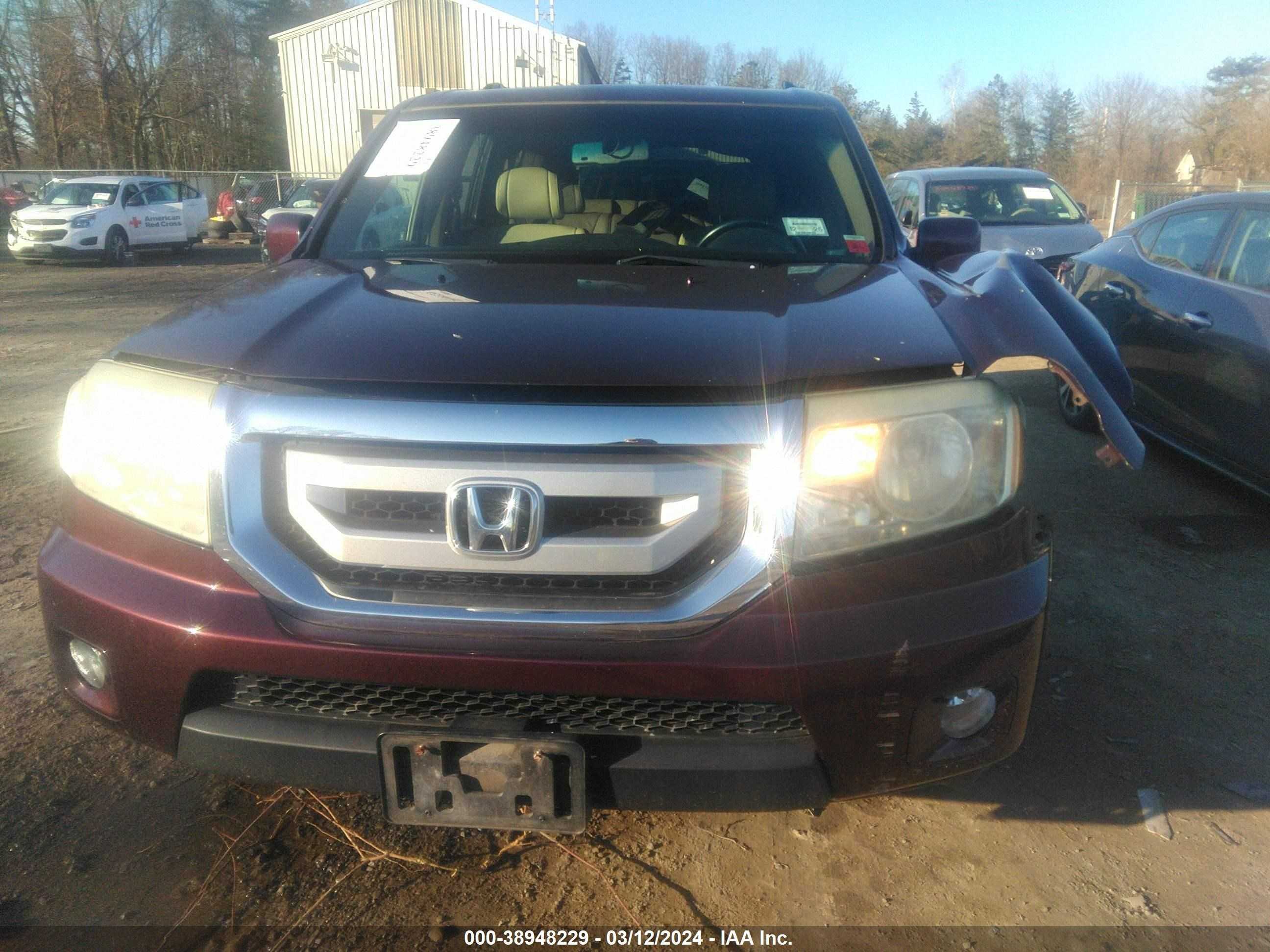 Photo 11 VIN: 5FNYF48579B001900 - HONDA PILOT 