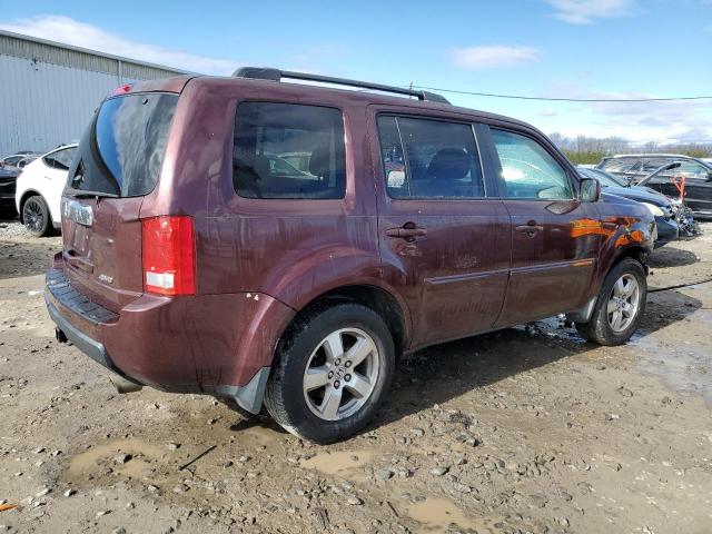 Photo 2 VIN: 5FNYF48599B010792 - HONDA PILOT 