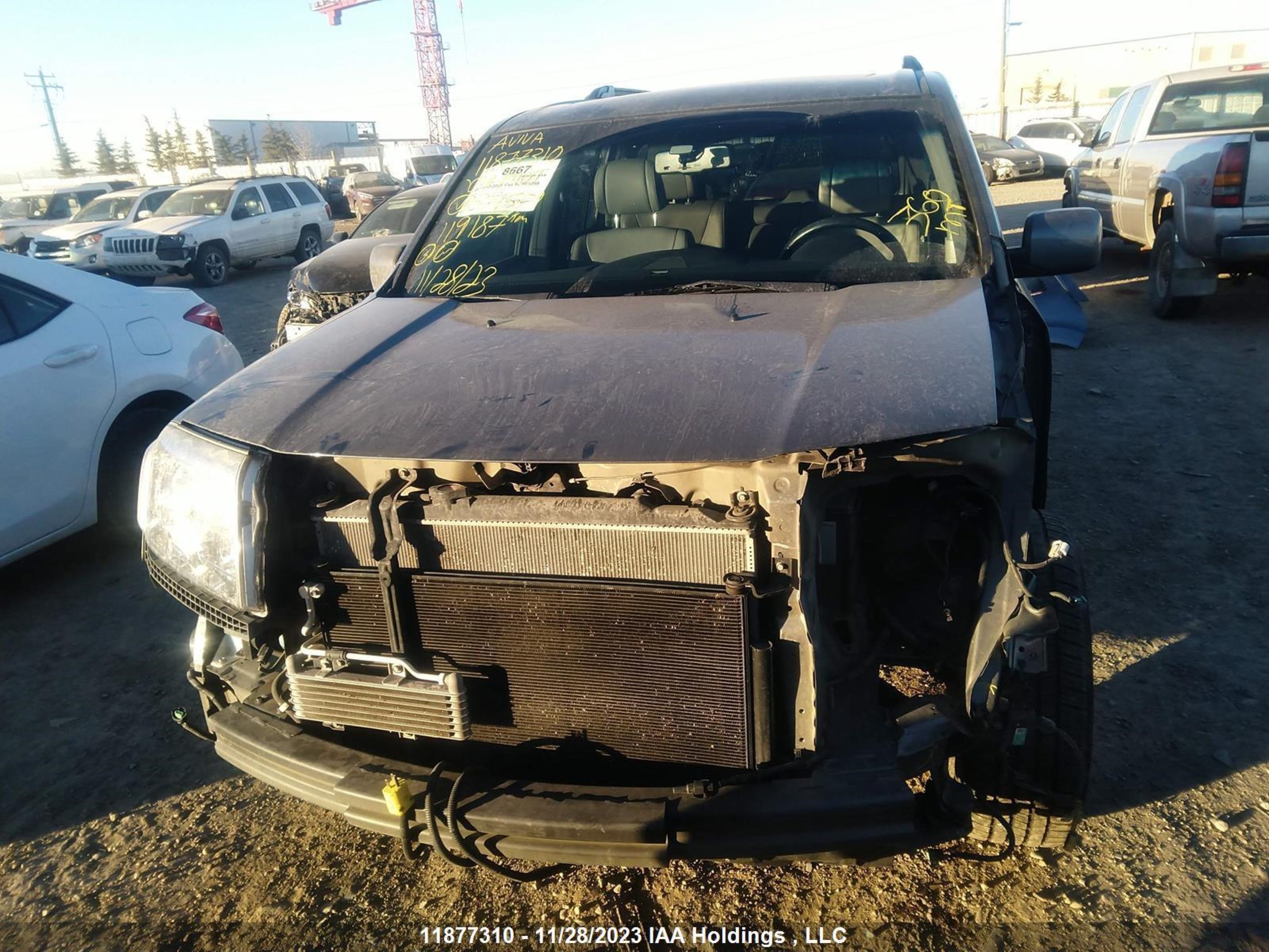 Photo 5 VIN: 5FNYF48629B504579 - HONDA PILOT 