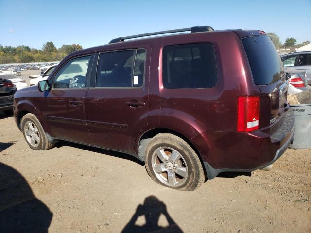 Photo 1 VIN: 5FNYF48689B020951 - HONDA PILOT EXL 