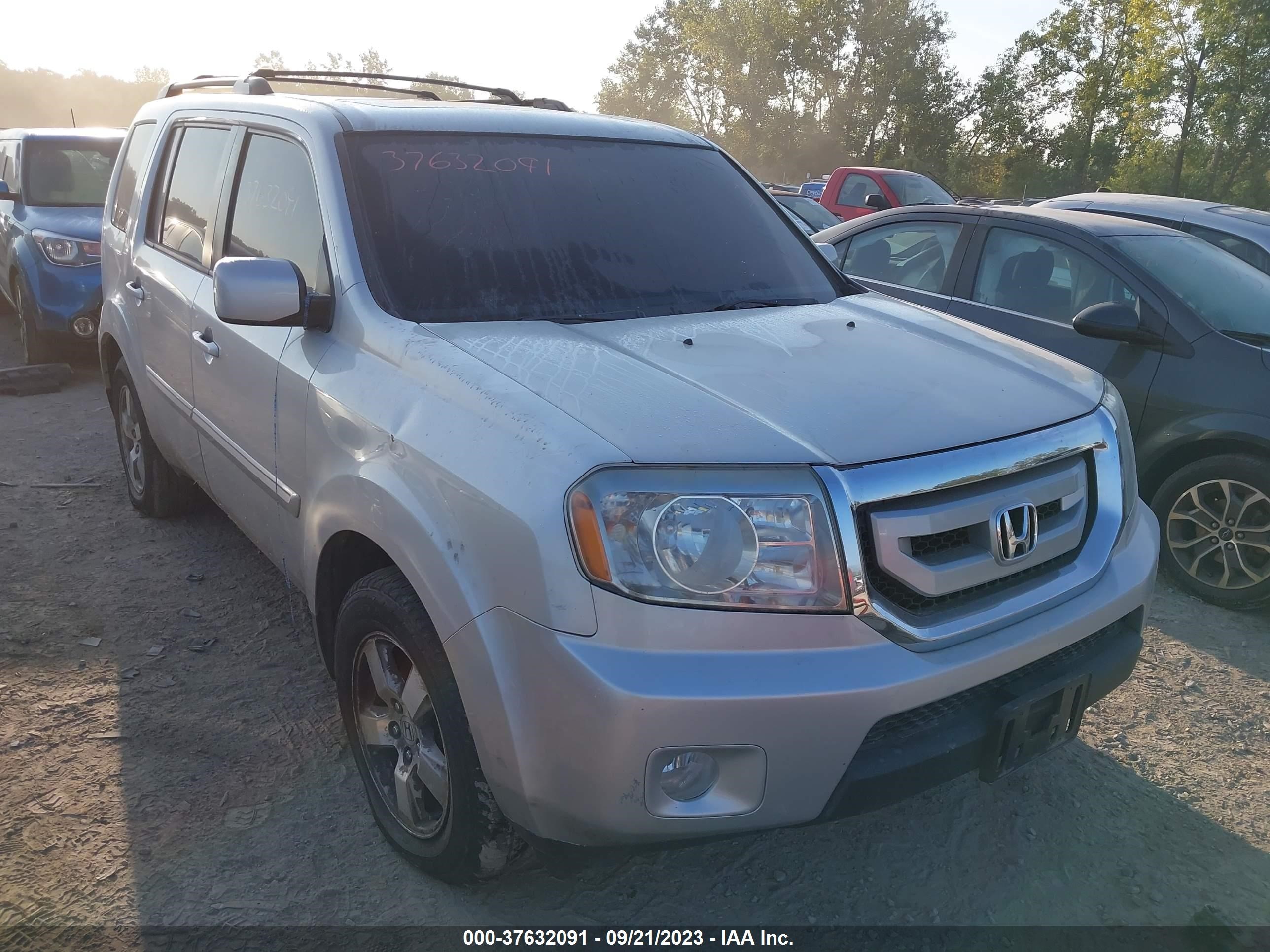 Photo 5 VIN: 5FNYF48699B028766 - HONDA PILOT 