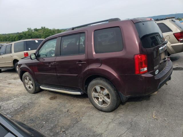 Photo 1 VIN: 5FNYF4H40BB007390 - HONDA PILOT EX 