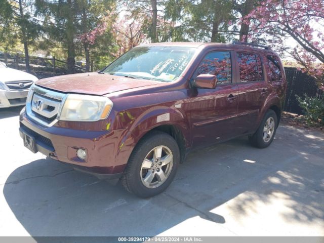 Photo 1 VIN: 5FNYF4H40BB019166 - HONDA PILOT 