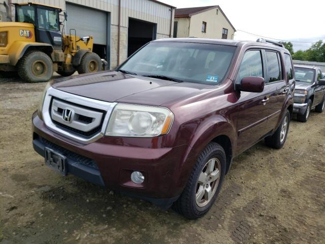 Photo 1 VIN: 5FNYF4H40BB040406 - HONDA PILOT EX 