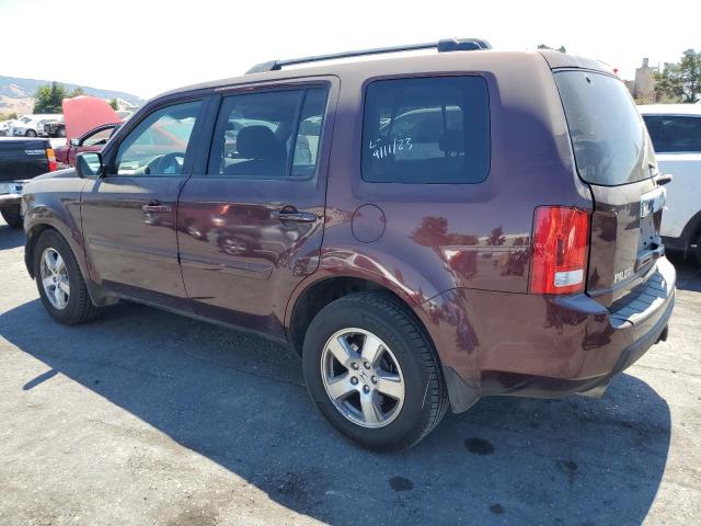 Photo 1 VIN: 5FNYF4H40BB051549 - HONDA PILOT EX 