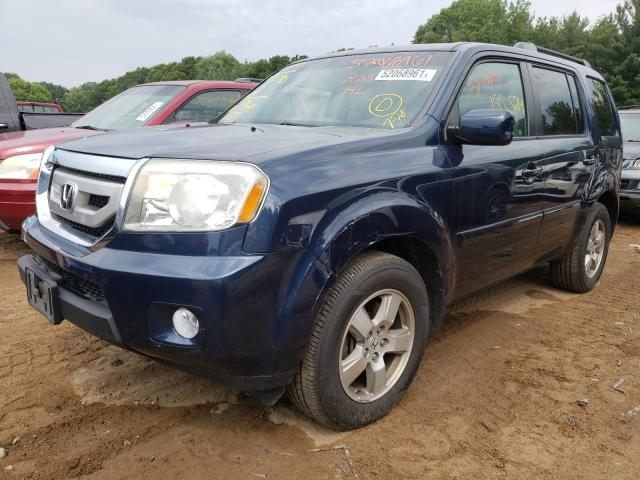 Photo 1 VIN: 5FNYF4H41BB024294 - HONDA PILOT 