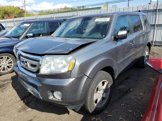 Photo 0 VIN: 5FNYF4H41BB034386 - HONDA PILOT EX 